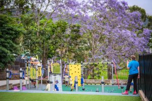 Jacaranda over the playground