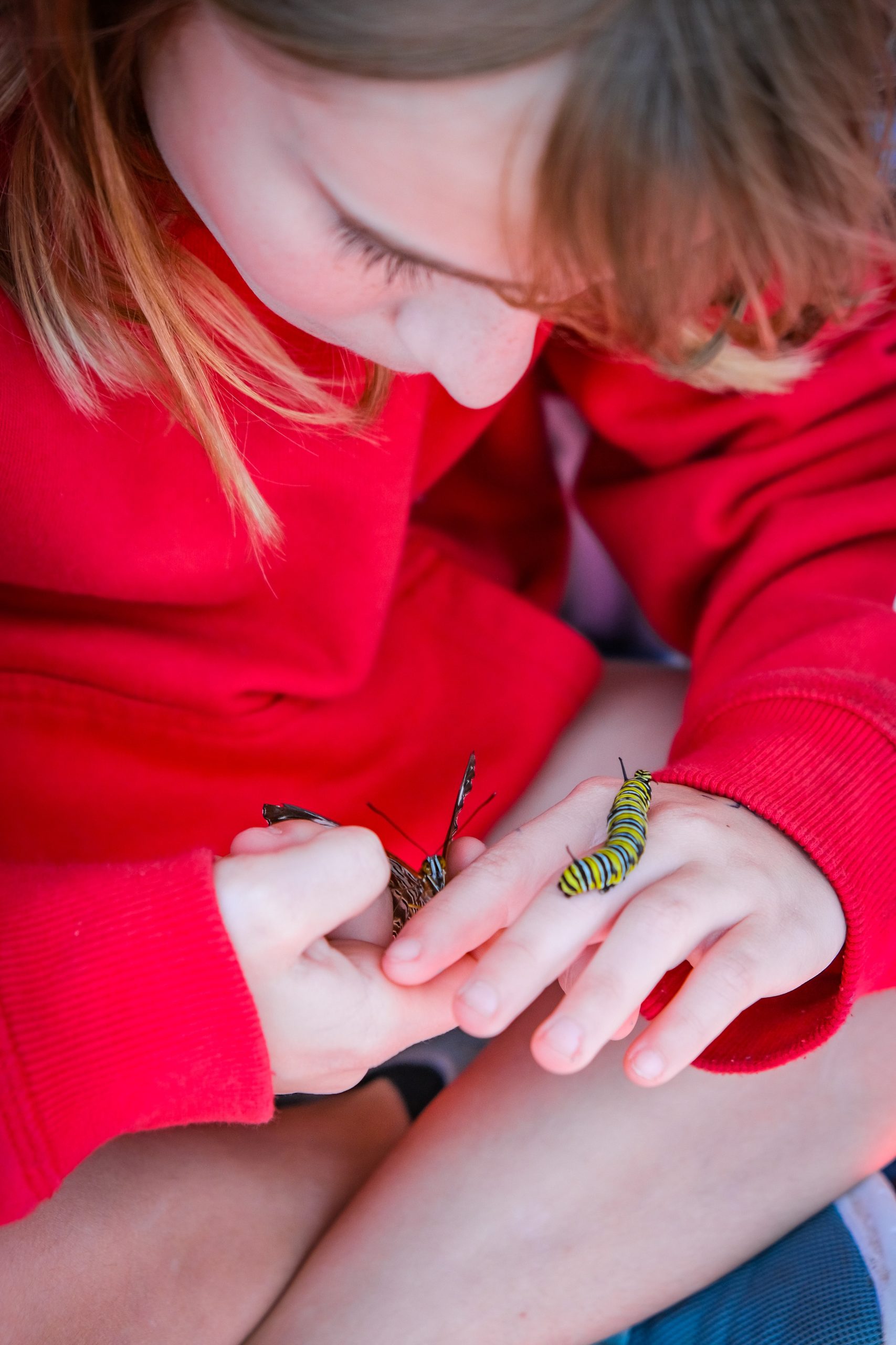 Child holding butterfly